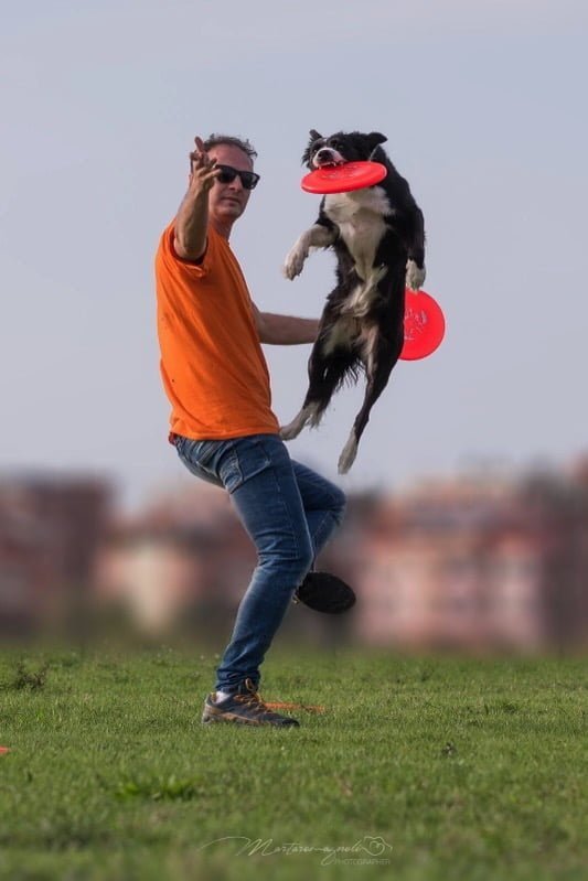 Disc Dog Joy